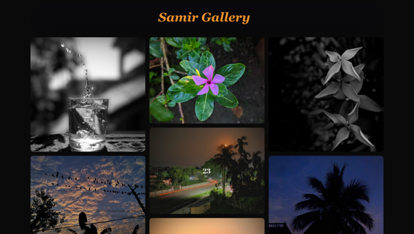 Photography Collection — screenshot